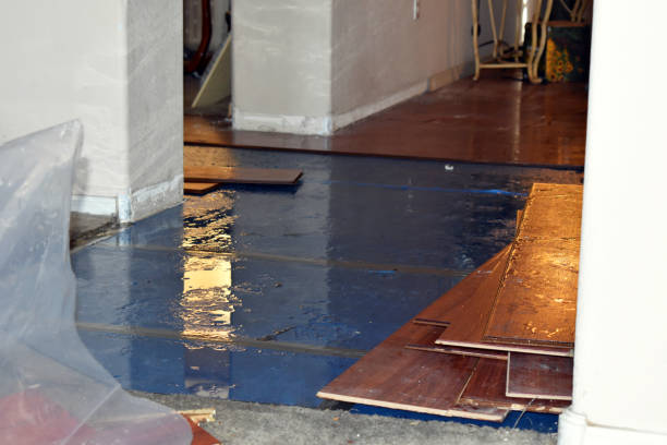 Professional Basement Flood Cleanup technician working in Creola, OH